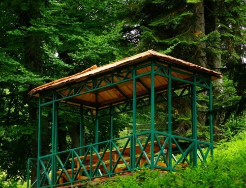 Goderdzi Alpine garden